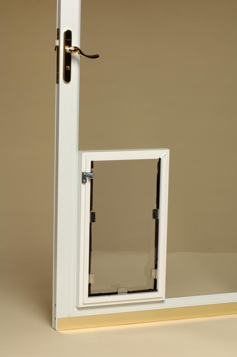 HALE THRU THE GLASS MODEL